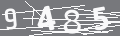 capsa